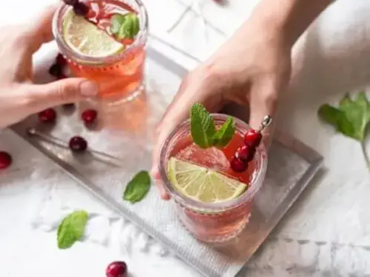 Cranberry Mint Punch 500x400 jpg itok Zuh Q2 Gp B