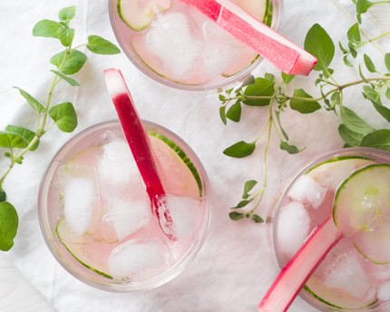 elfbar nachfüll pod läuft aus Qui aime la rhubarbe par ici ? 🤩, Aujourd’hui, on part sur quelque chose  de très simple mais savoureux : des tronçons entiers de rhubarbe plongés  dans une saumure à 3 % (30 g de sel pour 1 L d’eau), main image 0