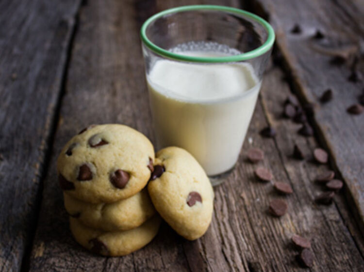 0000 webreadycrumblychochip7