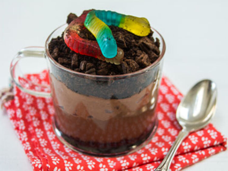 0007 dirt pudding 11 of 14