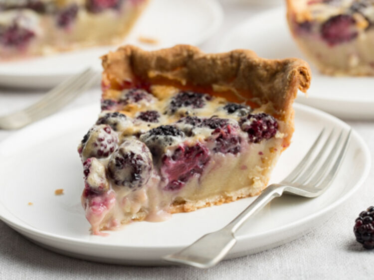 Blackberry Custard Pie landscape hero web 12028129