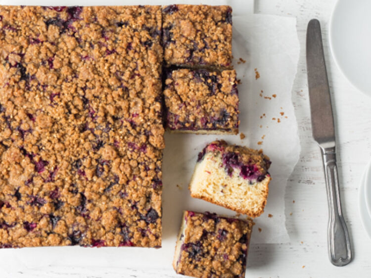 Blueberry Buckle landscape hero web 1