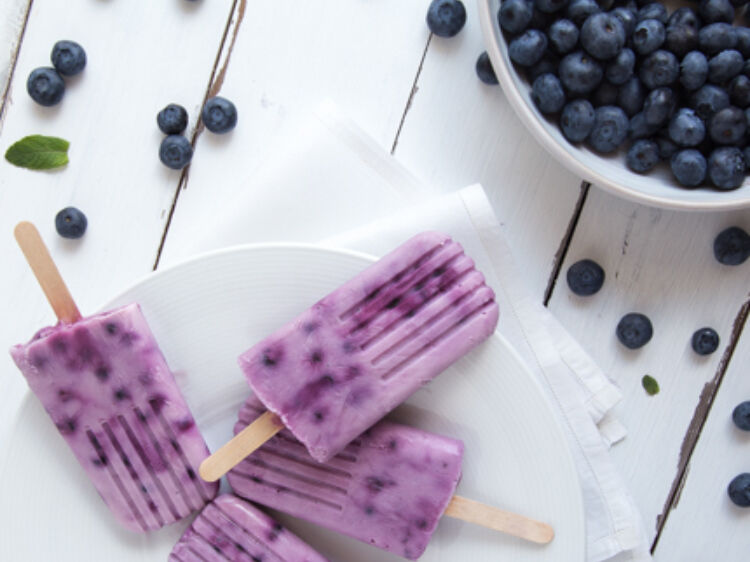 Blueberry Yogurt Pops landscape hero web 1