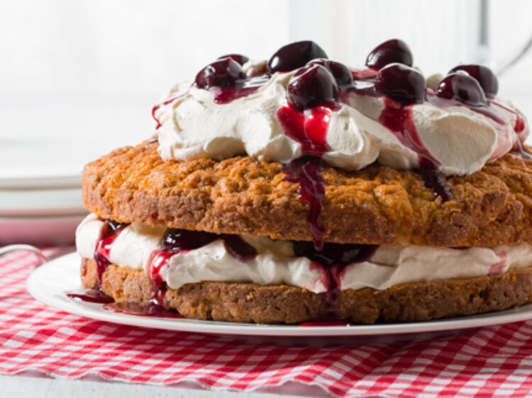 Cherry Shortcake landscape web 1