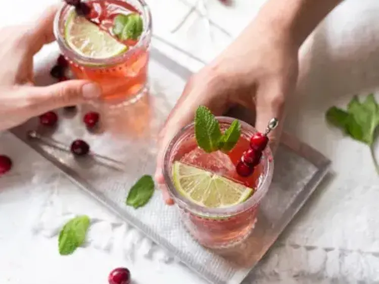 Cranberry Mint Punch 500x400 jpg itokwatjcg Za