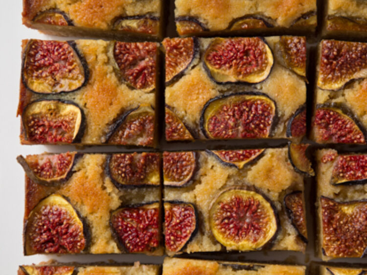 Fig Squares landscape hero web2028120of20129