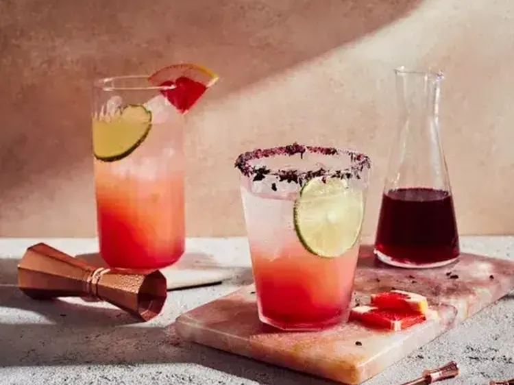 Hibiscus Paloma 500x400 jpg itok T Qd LS Gjy