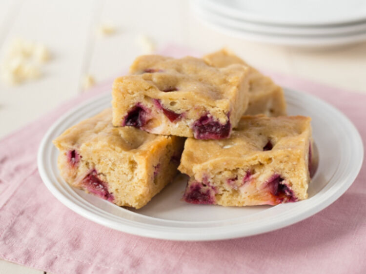 Lentil Blondies landscape hero web 1