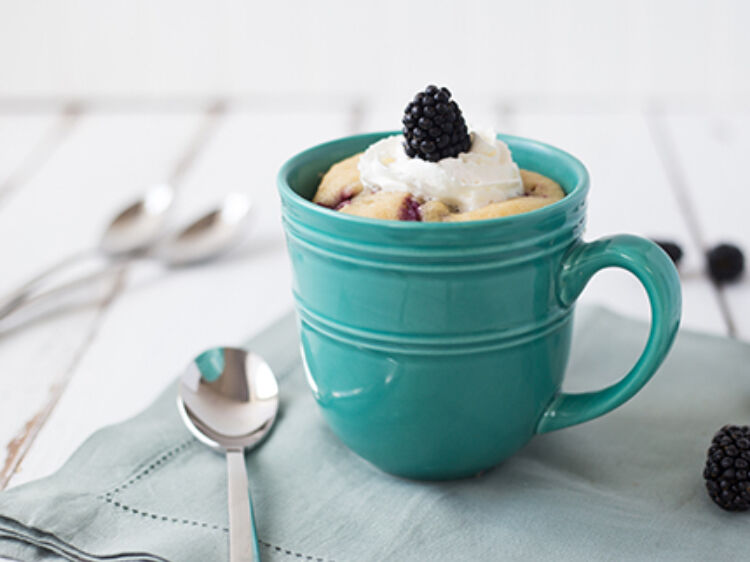 Mug Cake landscape hero web2028129