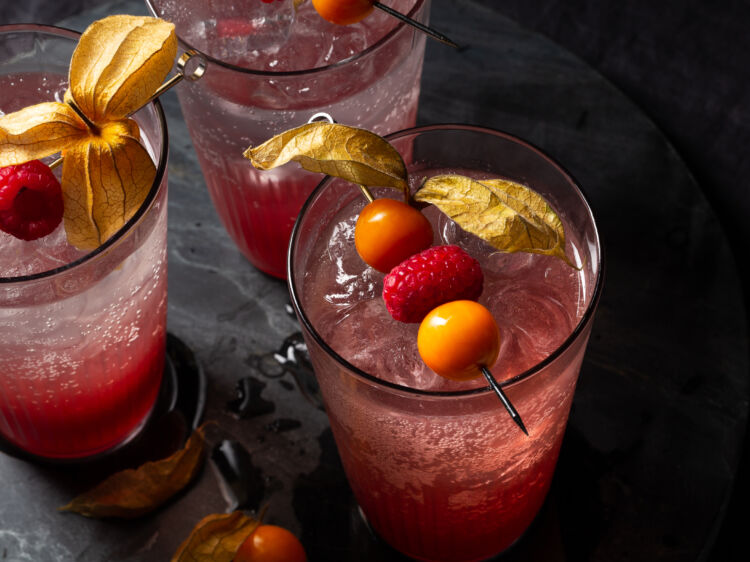 Raspberry Gooseberry Shrub