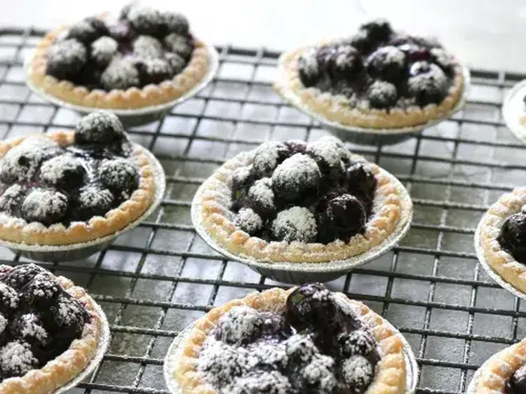 Redpath Saskatoon Tarts 500x400 jpg itokfmn3 KK5 T