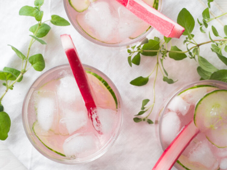 Rhubarb Cocktail landscape hero web 12028129