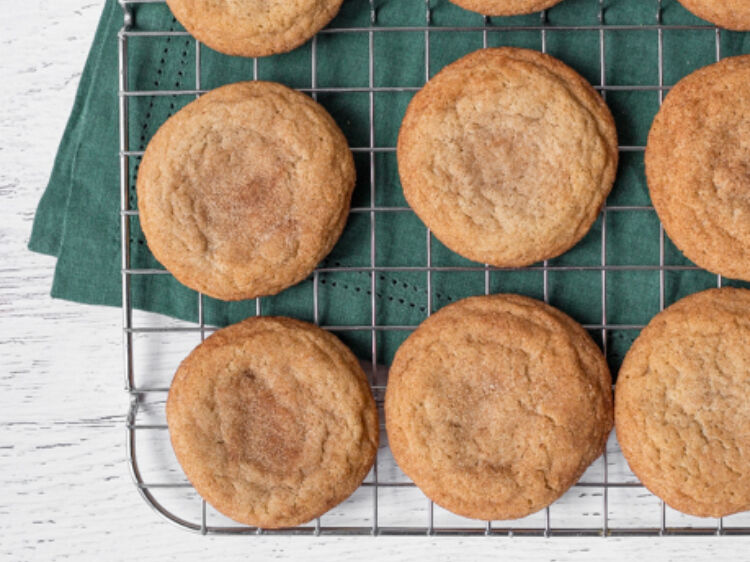 Snickerdoodles20 20web20ready20hero2028220of20229