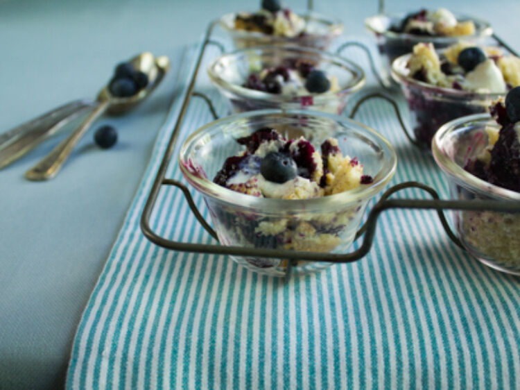 Blueberrypudding web 23