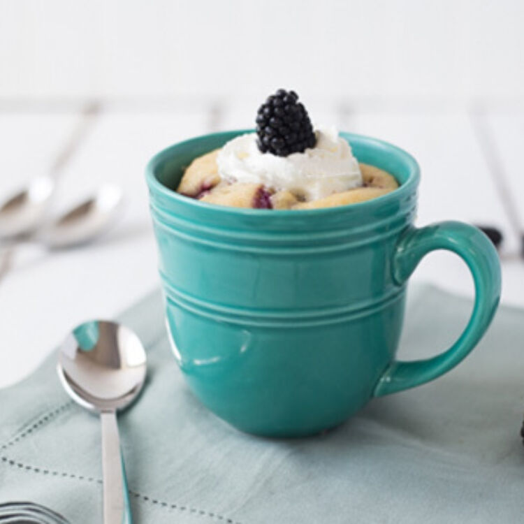 0000 blackberry mug cake web ready hero 1 of 2
