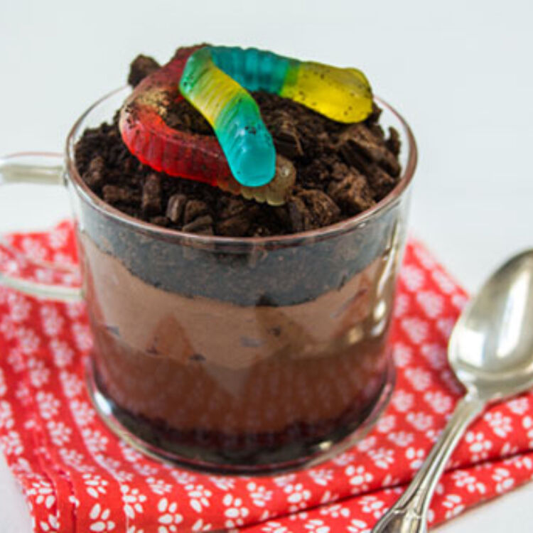 0007 dirt pudding 11 of 14