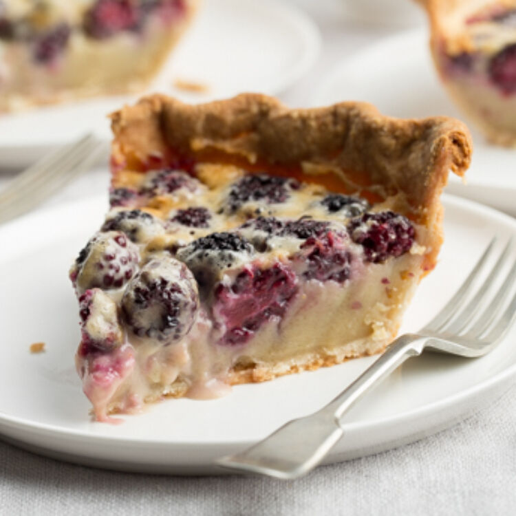 Blackberry Custard Pie landscape hero web 12028129