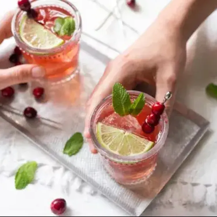 Cranberry Mint Punch 500x400 jpg itokwatjcg Za