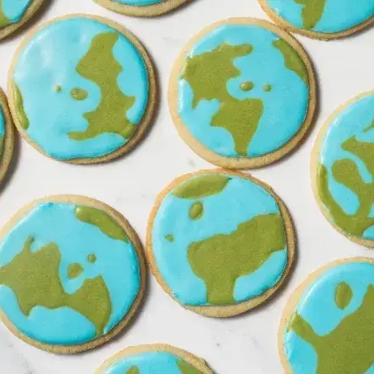 Earth Day Cookies 500x400 jpg itok Ufo Eigf X