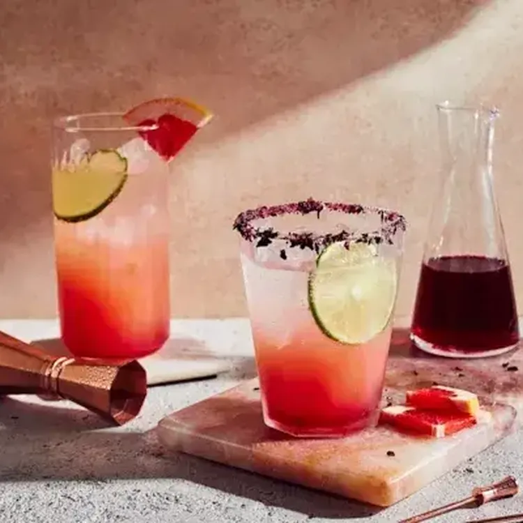 Hibiscus Paloma 500x400 jpg itok T Qd LS Gjy