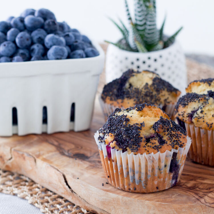 Lemon20 Blueberry20 20main