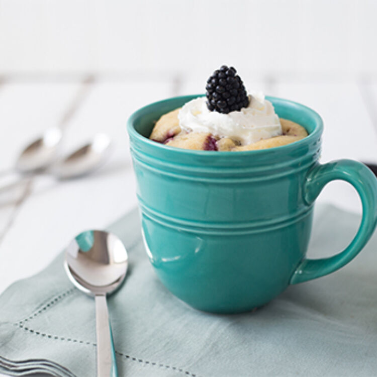 Mug Cake landscape hero web2028129