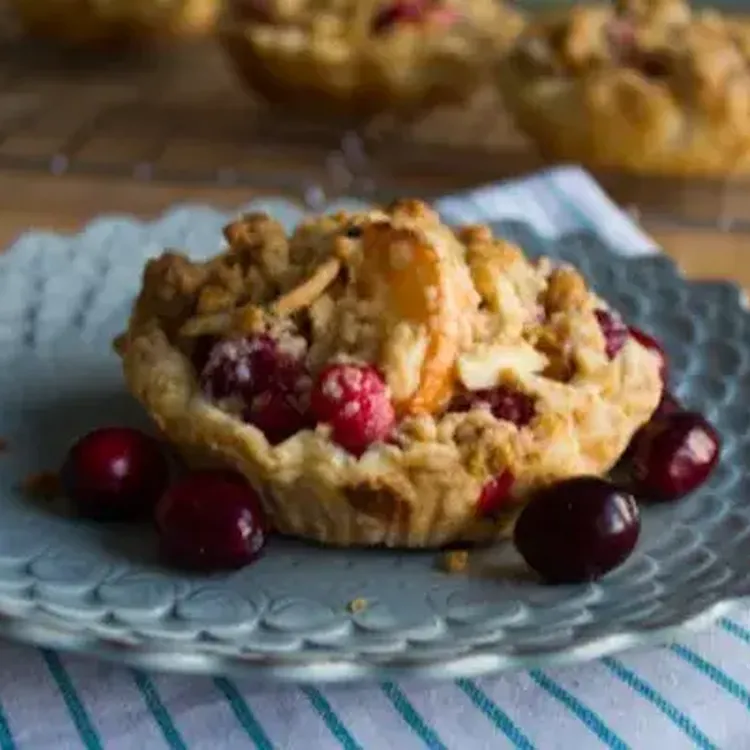 Nectarine Cranberry Pie WR37 500x400 jpg itok U74s J Ih4