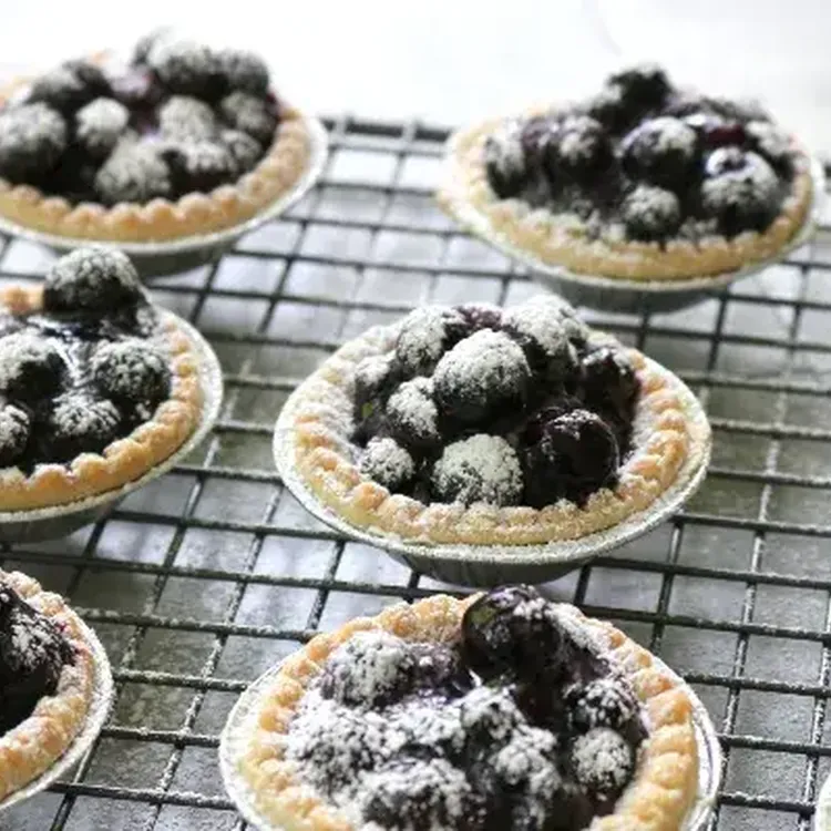 Redpath Saskatoon Tarts 500x400 jpg itok Th Ngx Xzm