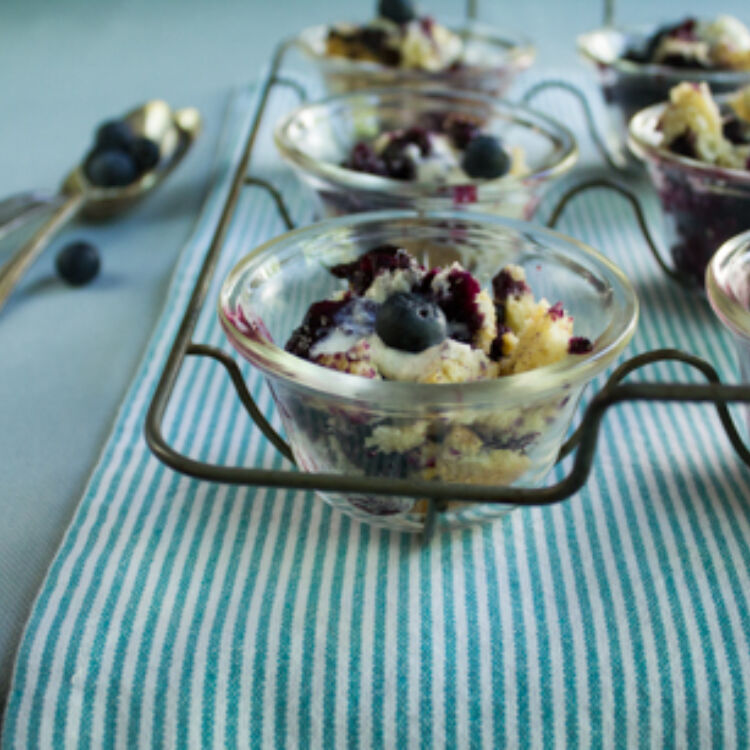 Blueberrypudding web 23