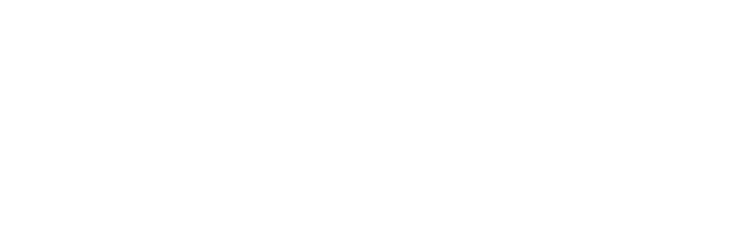 Mcnally robinson white