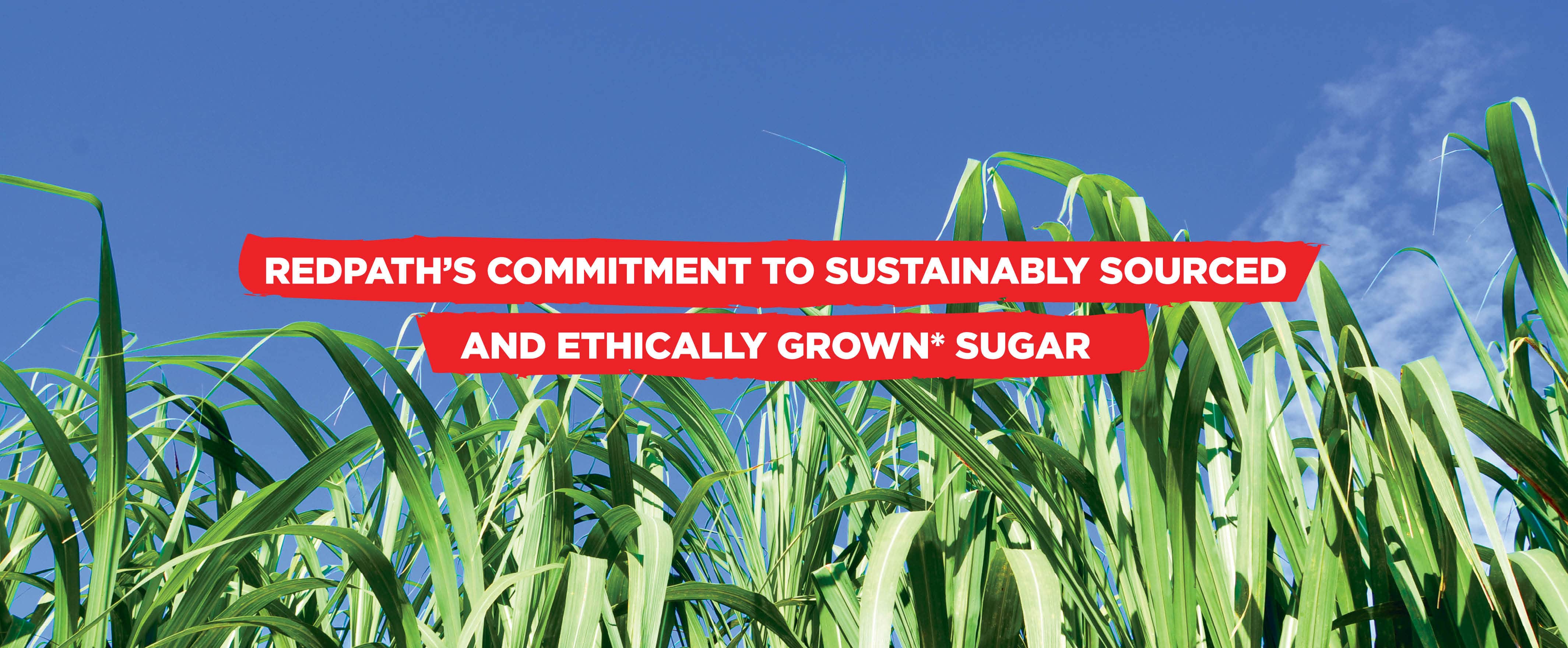 Homepage Banner_Sustainability