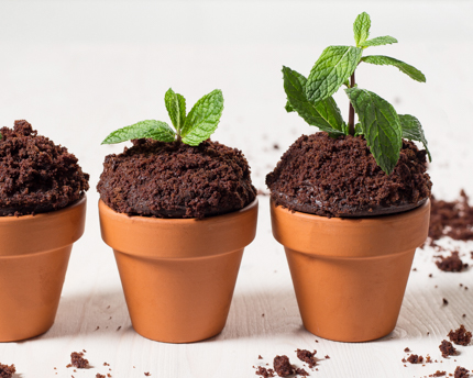 Chocolate Mint Flower Pot Cupcakes