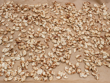 Sugared and seasoned pumpkin seeds spread out on parchment paper