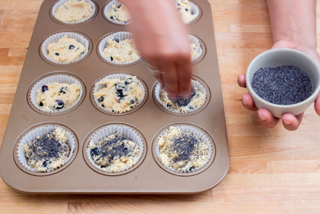 blueberry muffin how to (11 of 11)