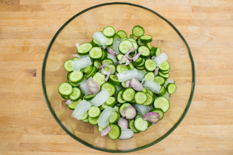Tossed cucumber, shallots and ice cubes for pickling