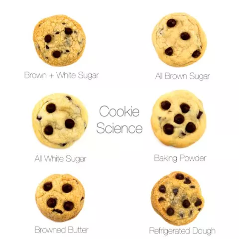 The Science of Cookies