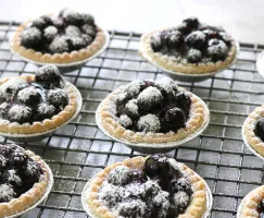 Saskatoon berry tart