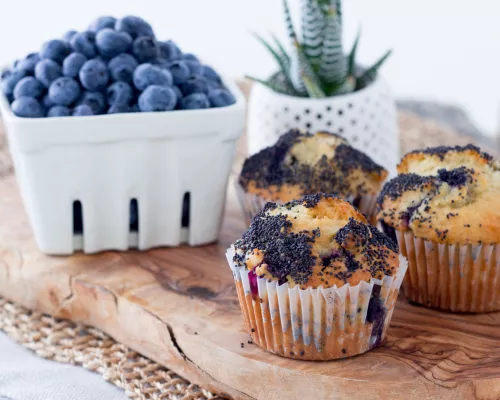 Lemon-Blueberry Poppy Seed Muffin
